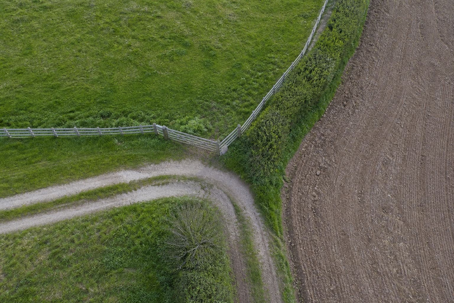 Example aerial survey imagery with observation markers